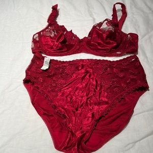 Lou Paris bra and panty set.